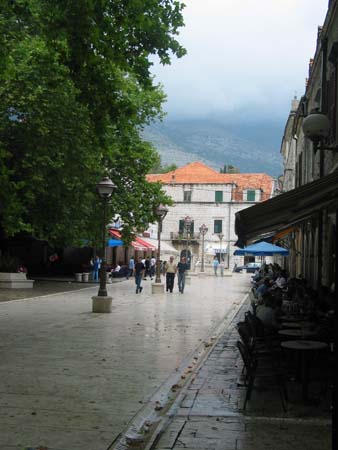 IMG_4260